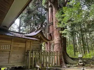 高倉神社(福島県)