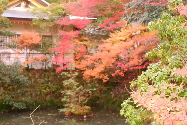 大縣神社(愛知県)