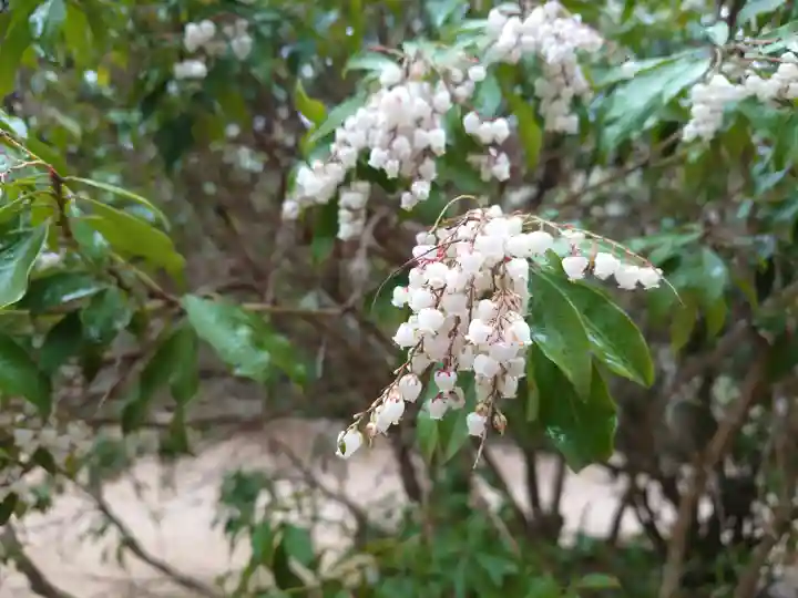 四宮神社(広島県)
