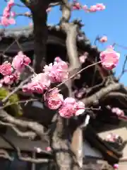 海蔵寺の自然