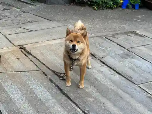 玉林寺(愛知県)