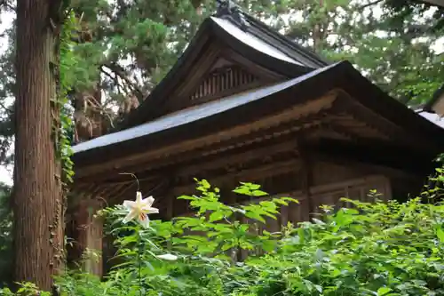 鹿島大神宮の本殿