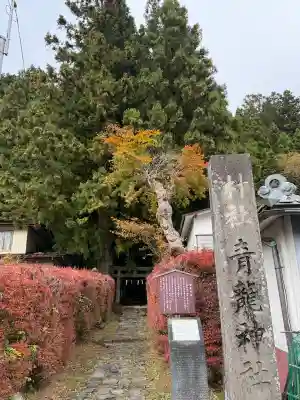 青龍神社(栃木県)