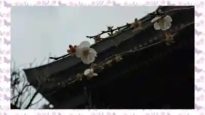 湯島天満宮(東京都)