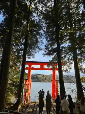 箱根神社(神奈川県)
