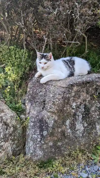 成田山新勝寺の動物