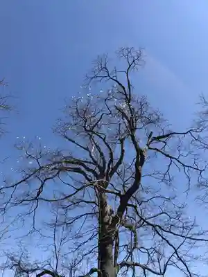 厚別神社(北海道)