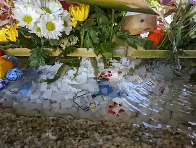 勝林寺の手水舎