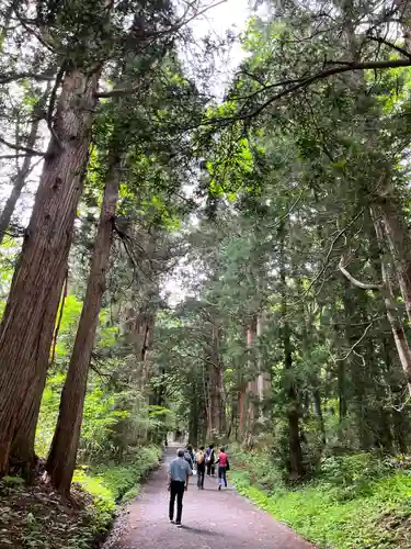 戸隠神社奥社(長野県)