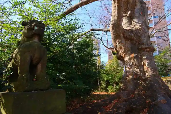 愛宕神社の狛犬