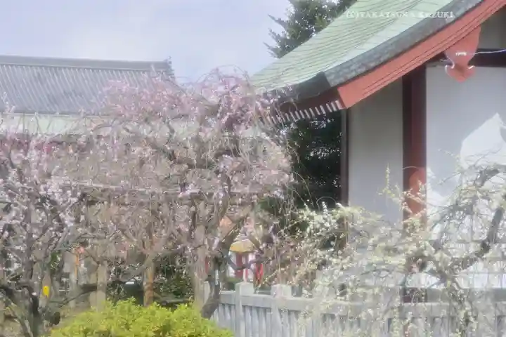 亀戸天神社(東京都)