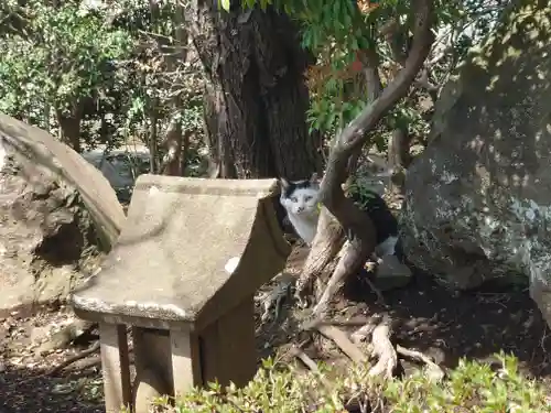 妙福寺(神奈川県)