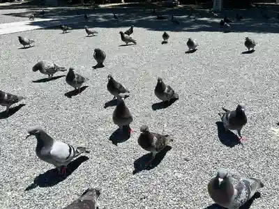 開口神社(大阪府)