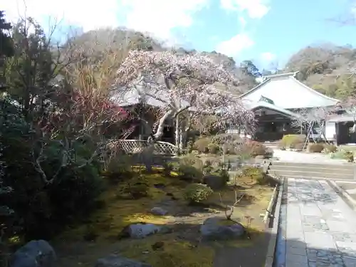 海蔵寺の庭園