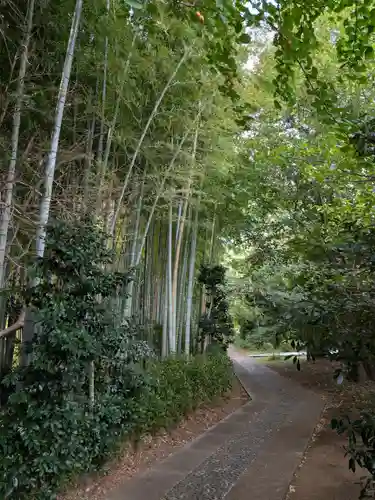 妙寿寺(東京都)