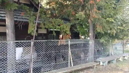 中尾神社(山梨県)