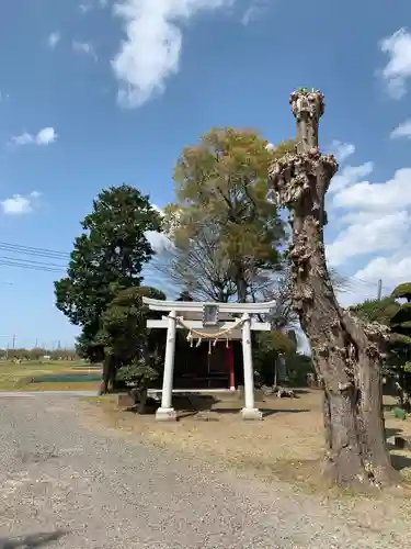 熊野神社の鳥居