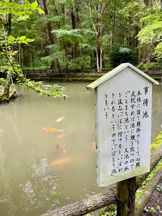 小國神社(静岡県)