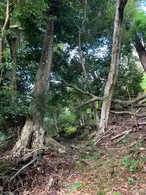 山王堂(千葉県)