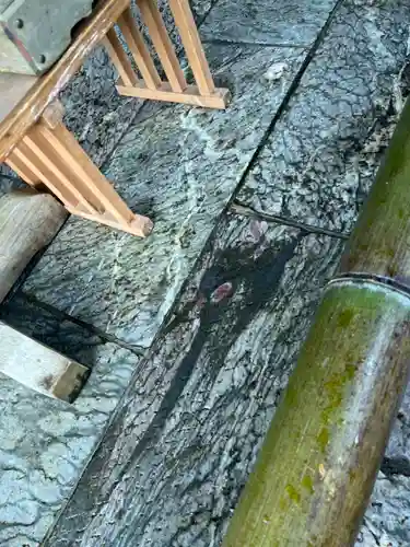 三峯神社(埼玉県)