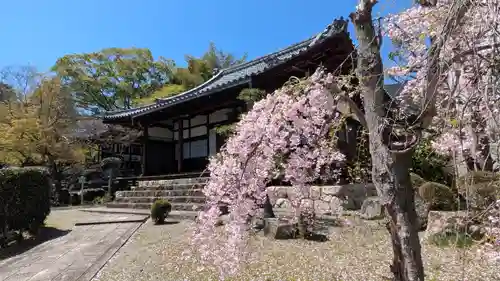 安養院(滋賀県)