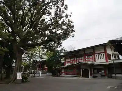 瀬田玉川神社の本殿・本堂
