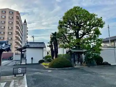 西光寺(茨城県)