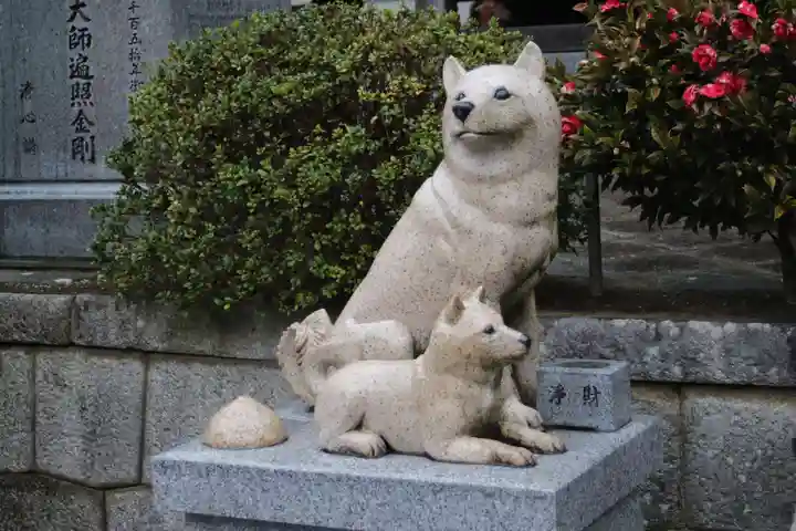 不動院(板橋不動尊)の狛犬