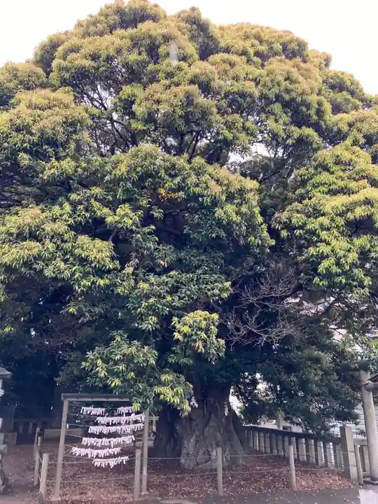 鹿島神社(茨城県)