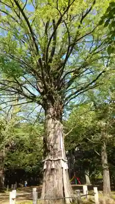 赤坂氷川神社(東京都)