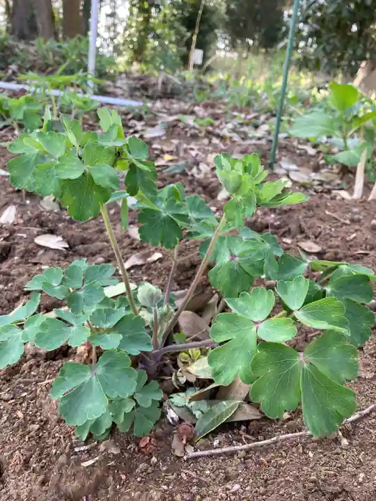 息栖神社の景色