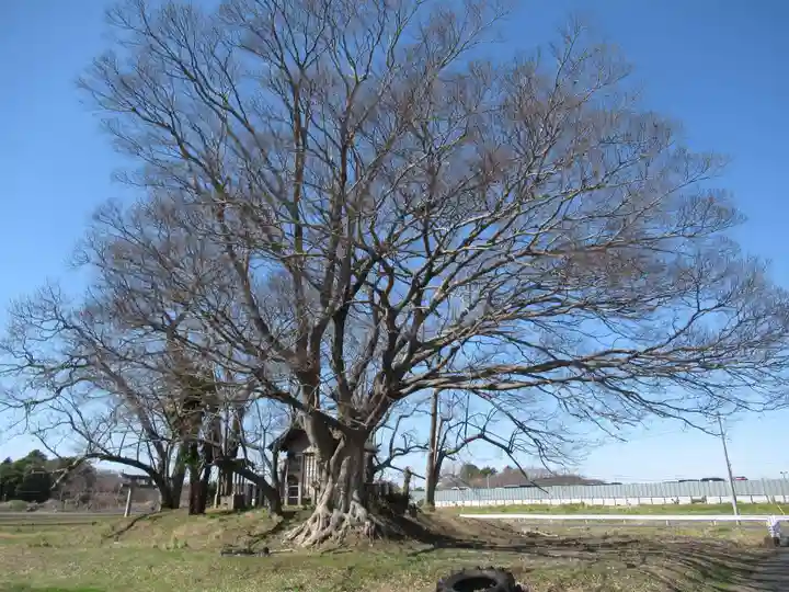 神明神社(千葉県)