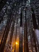 北海道神宮の自然