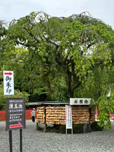 富士山本宮浅間大社の{uncategorized: "未分類", other: "その他", undefined: "問題あり", building: "その他建物", grave: "お墓", sacred_gate: "鳥居", guardian: "狛犬", statue: "像", buddha: "仏像", history: "歴史", nature: "自然", garden: "庭園", animal: "動物", pagoda: "塔", temizu: "手水舎", mountain_gate: "山門・神門", sanctuary: "本殿・本堂", subordinate: "末社・摂社", art: "芸術", scenery: "景色", jizo: "地蔵", ema: "絵馬", goshuin: "御朱印", omikuji: "おみくじ", items: "授与品その他", amulet: "お守り", goshuincho: "御朱印帳", eats: "食事", festival: "お祭り", votive_dance: "神楽", shichigosan: "七五三参", wedding: "結婚式", experience: "体験その他", initially: "初詣", around: "周辺", anti_infection: "感染症対策"}