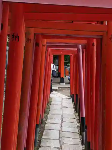 根津神社の鳥居