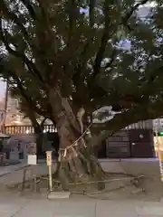 難波神社(大阪府)