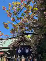 東京大神宮の{uncategorized: "未分類", other: "その他", undefined: "問題あり", building: "その他建物", grave: "お墓", sacred_gate: "鳥居", guardian: "狛犬", statue: "像", buddha: "仏像", history: "歴史", nature: "自然", garden: "庭園", animal: "動物", pagoda: "塔", temizu: "手水舎", mountain_gate: "山門・神門", sanctuary: "本殿・本堂", subordinate: "末社・摂社", art: "芸術", scenery: "景色", jizo: "地蔵", ema: "絵馬", goshuin: "御朱印", omikuji: "おみくじ", items: "授与品その他", amulet: "お守り", goshuincho: "御朱印帳", eats: "食事", festival: "お祭り", votive_dance: "神楽", shichigosan: "七五三参", wedding: "結婚式", experience: "体験その他", initially: "初詣", around: "周辺", anti_infection: "感染症対策"}