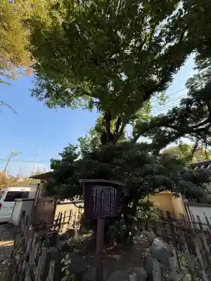 松月院の{uncategorized: "未分類", other: "その他", undefined: "問題あり", building: "その他建物", grave: "お墓", sacred_gate: "鳥居", guardian: "狛犬", statue: "像", buddha: "仏像", history: "歴史", nature: "自然", garden: "庭園", animal: "動物", pagoda: "塔", temizu: "手水舎", mountain_gate: "山門・神門", sanctuary: "本殿・本堂", subordinate: "末社・摂社", art: "芸術", scenery: "景色", jizo: "地蔵", ema: "絵馬", goshuin: "御朱印", omikuji: "おみくじ", items: "授与品その他", amulet: "お守り", goshuincho: "御朱印帳", eats: "食事", festival: "お祭り", votive_dance: "神楽", shichigosan: "七五三参", wedding: "結婚式", experience: "体験その他", initially: "初詣", around: "周辺", anti_infection: "感染症対策"}