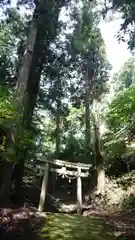 飛鳥川上坐宇須多岐比売命神社の建物その他