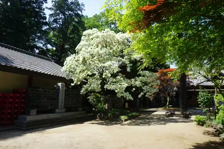 大宝八幡宮の自然