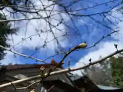 滑川神社 - 仕事と子どもの守り神の自然