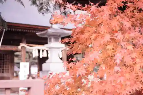 甲斐國一宮 浅間神社(山梨県)