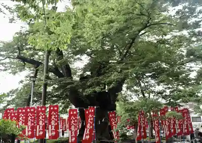 秩父今宮神社(埼玉県)
