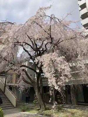 普門寺(広島県)