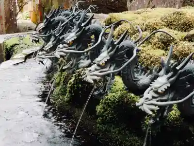 九頭龍神社新宮の{uncategorized: "未分類", other: "その他", undefined: "問題あり", building: "その他建物", grave: "お墓", sacred_gate: "鳥居", guardian: "狛犬", statue: "像", buddha: "仏像", history: "歴史", nature: "自然", garden: "庭園", animal: "動物", pagoda: "塔", temizu: "手水舎", mountain_gate: "山門・神門", sanctuary: "本殿・本堂", subordinate: "末社・摂社", art: "芸術", scenery: "景色", jizo: "地蔵", ema: "絵馬", goshuin: "御朱印", omikuji: "おみくじ", items: "授与品その他", amulet: "お守り", goshuincho: "御朱印帳", eats: "食事", festival: "お祭り", votive_dance: "神楽", shichigosan: "七五三参", wedding: "結婚式", experience: "体験その他", initially: "初詣", around: "周辺", anti_infection: "感染症対策"}