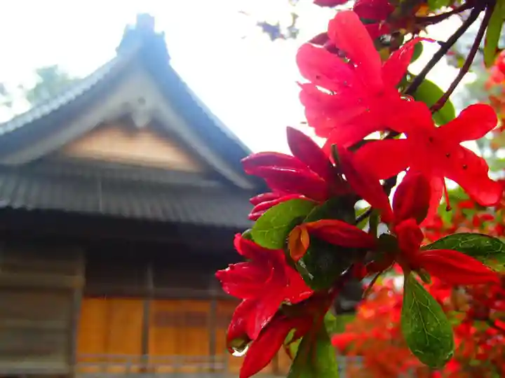 重蔵神社の自然