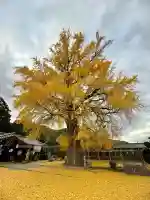丹生酒殿神社(和歌山県)