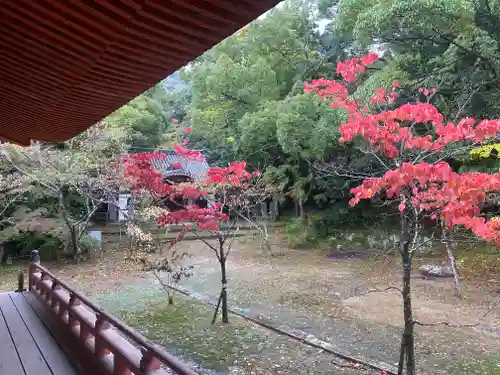 太山寺(兵庫県)