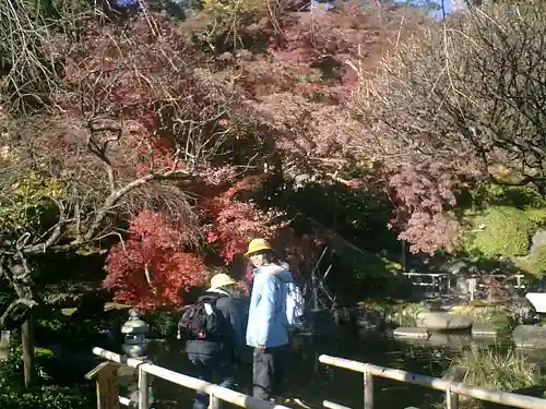 長谷寺のその他建物