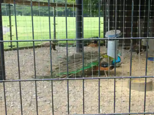 長谷寺(古河長谷観音)の周辺